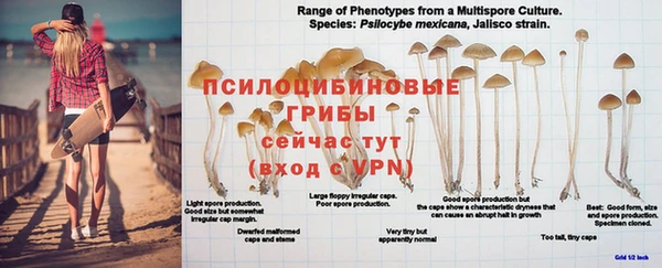 трава Богородицк